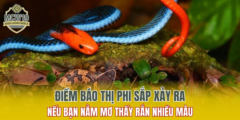 Lô Gan Là Gì? Một Số Điều Phải Biết Khi Chơi Số Lô Gan 11 Điềm báo thị phi sắp xảy ra nếu bạn nằm mơ thấy rắn nhiều màu
