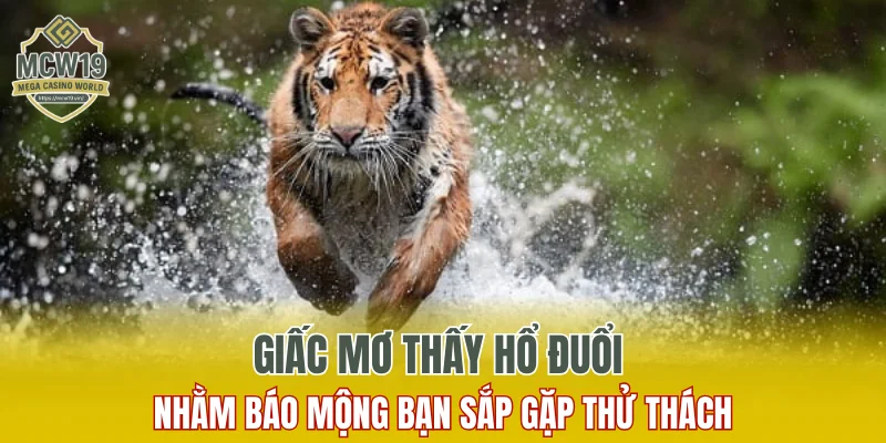 Lô Gan Là Gì? Một Số Điều Phải Biết Khi Chơi Số Lô Gan 8 Giấc mơ thấy hổ đuổi nhằm báo mộng bạn sắp gặp thử thách