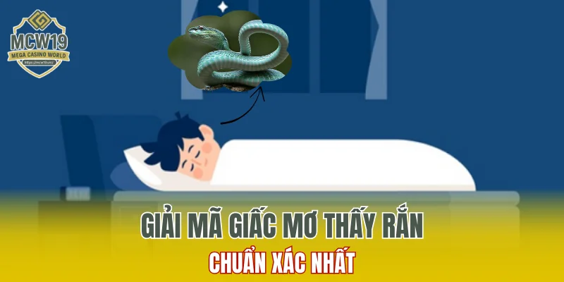 Mơ Thấy Rắn: Những Điềm Báo, Con Số Nên Thử Vận May 3 GIẢI MÃ GIẤC MƠ THẤY RẮN CHUẨN XÁC NHẤT
