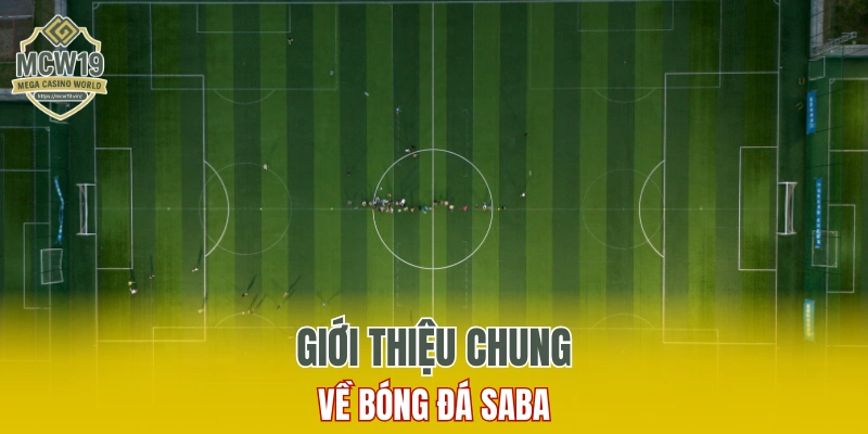 Bóng Đá Saba - Nâng Tầm Trải Nghiệm Bóng Đá Trực Tuyến 5 Giới thiệu chung tổng quan về bóng đá Saba