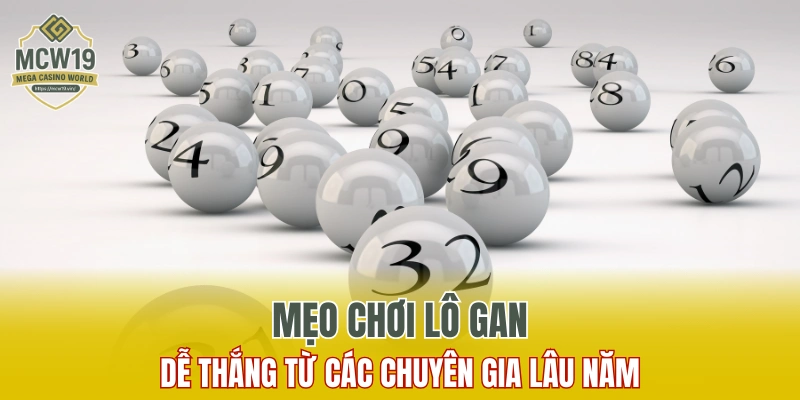 Mơ Thấy Rắn: Những Điềm Báo, Con Số Nên Thử Vận May 11 Mẹo chơi lô gan dễ thắng từ các chuyên gia lâu năm