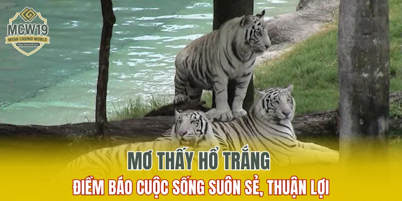 Mơ Thấy Hổ: Điềm Báo Sức Mạnh Và Quyền Lực Trong Cuộc Sống 1 MƠ THẤY HỔ LÀ ĐIỂM LÀNH HAY DỮ GIẢ MÃ CHI TIẾT