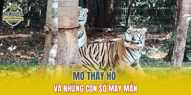 Lô Gan Là Gì? Một Số Điều Phải Biết Khi Chơi Số Lô Gan 9 Mơ thấy hổ và những con số may mắn
