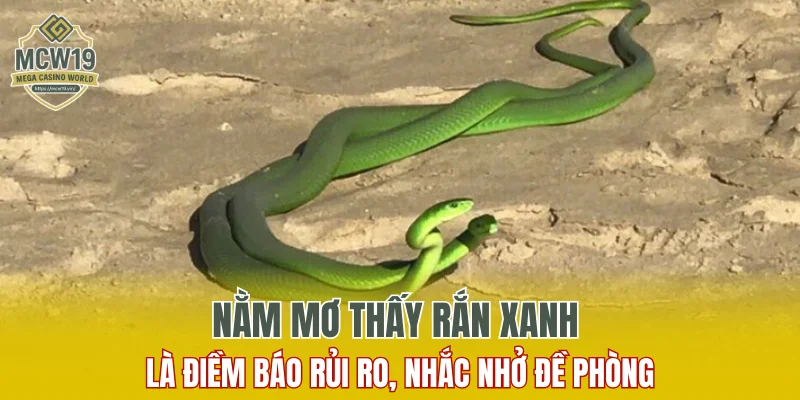 Lô Gan Là Gì? Một Số Điều Phải Biết Khi Chơi Số Lô Gan 10 Nằm mơ thấy rắn xanh là điềm báo rủi ro, nhắc nhở đề phòng