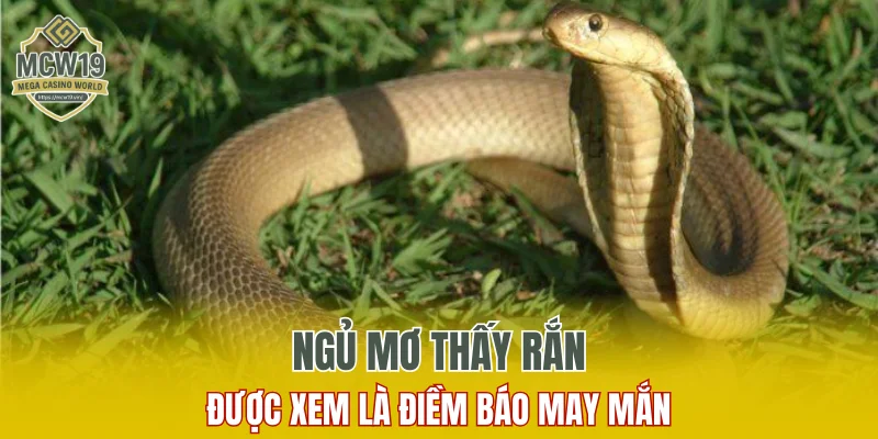 Lô Gan Là Gì? Một Số Điều Phải Biết Khi Chơi Số Lô Gan 9 Ngủ mơ thấy rắn được xem là điềm báo may mắn