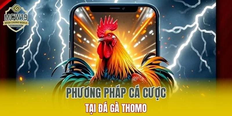 Phân Tích Đá Gà Thomo Tại MCW19 Tăng Tỷ Lệ Thắng Cao 5 Phương pháp cá cược tại đá gà Thomo